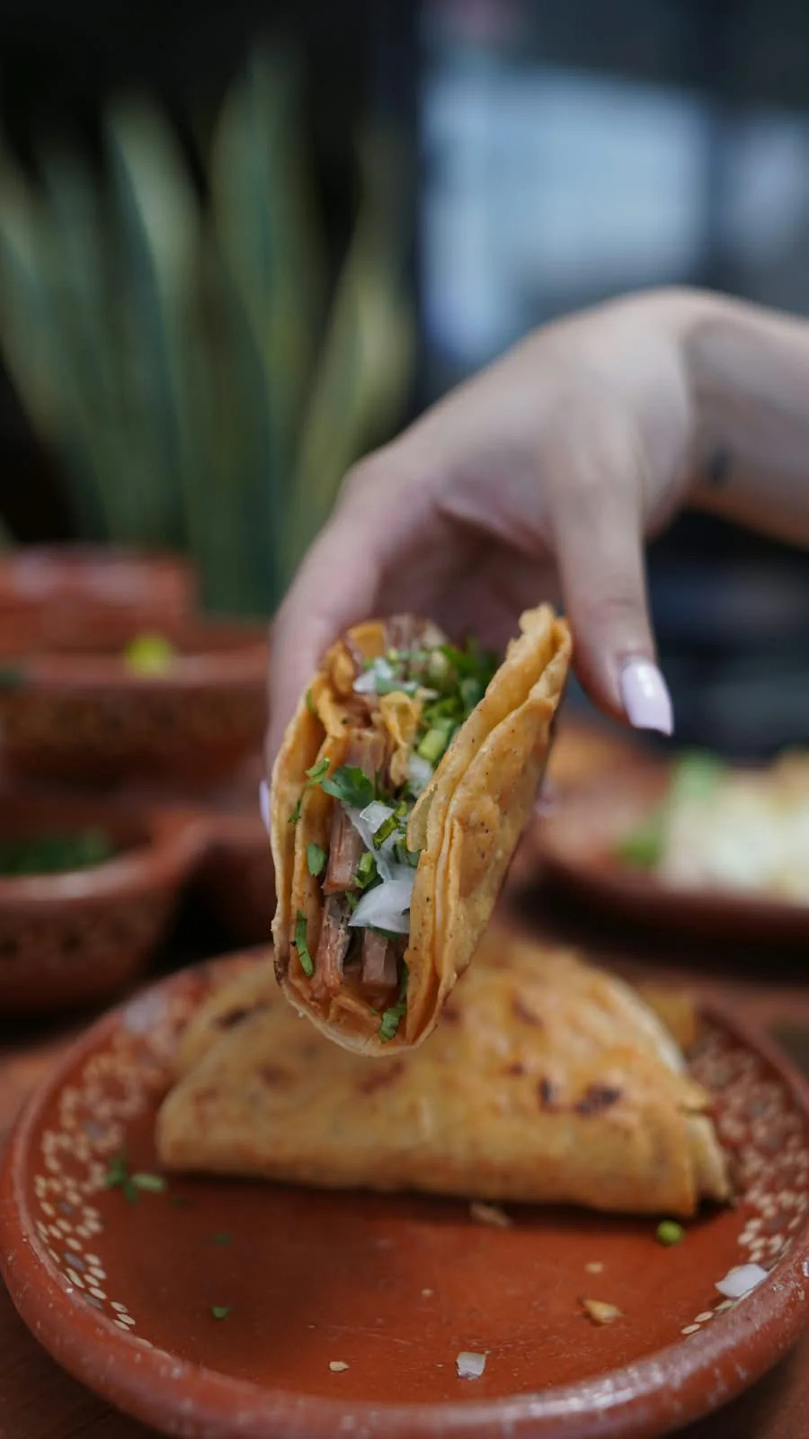 Una mano levanta un taco de su plato de barro.